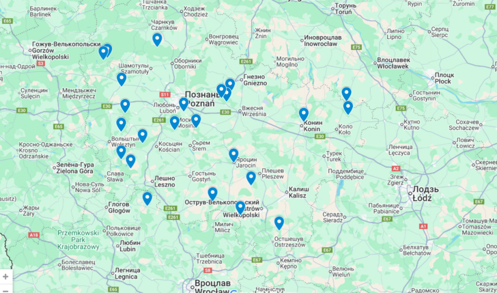 Gdzie legalnie wyciąć własną choinkę w Polsce w 2025 roku? Mapa miejsc wycinki choinek