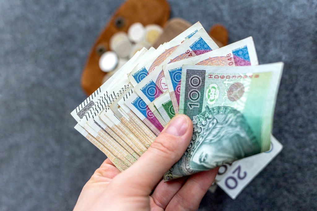Dochód podstawowy w Polsce. Jedno świadczenie zamiast wielu?