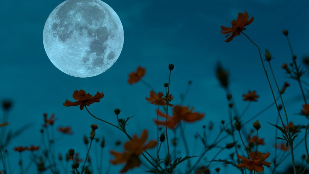 Kalendarz księżycowy maj 2026 – kiedy nów i pełnia