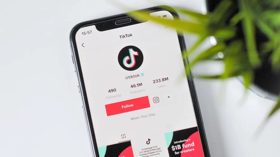 Ile można zarobić na TikToku i YouTube w Polsce? Kwoty zaskakują twórców